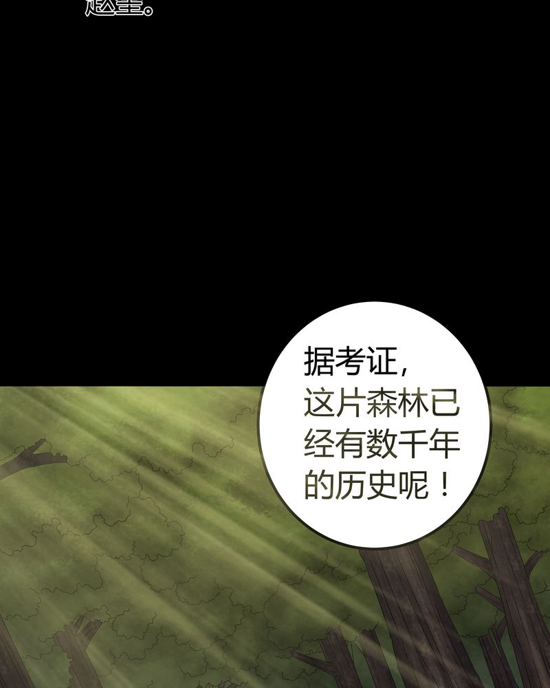 梦魇之旅免费观看漫画,第59章：下墓3图