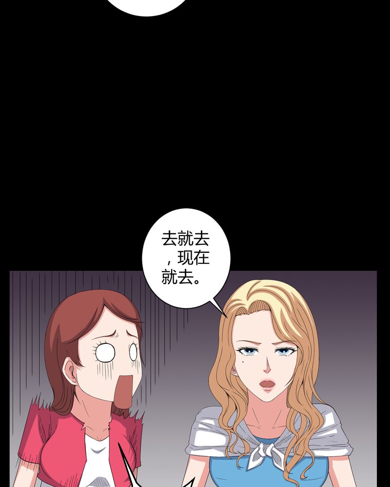 梦魇之旅 豆瓣漫画,第44章：双胞胎3图