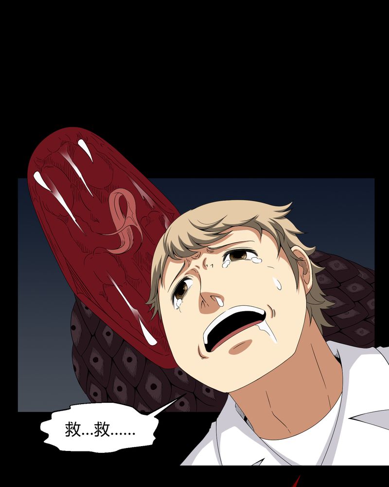 梦魇之旅漫画20话免费阅读漫画,第23章：狂蟒之灾2图