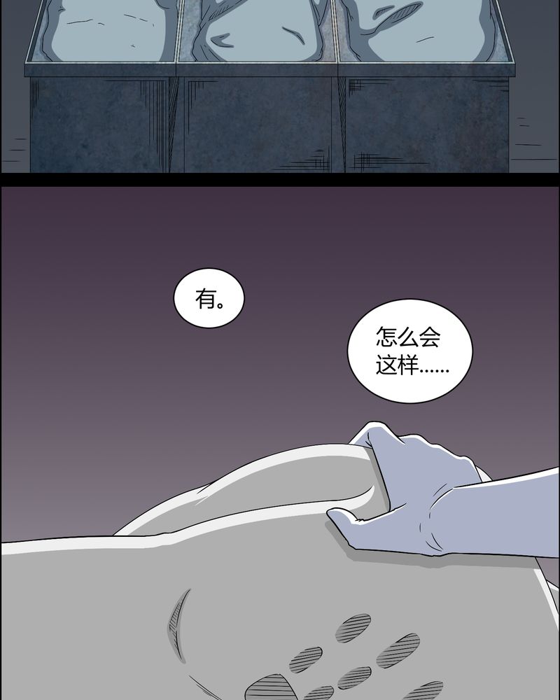 梦魇之旅漫画20话免费阅读漫画,第12章：黄神婆4图