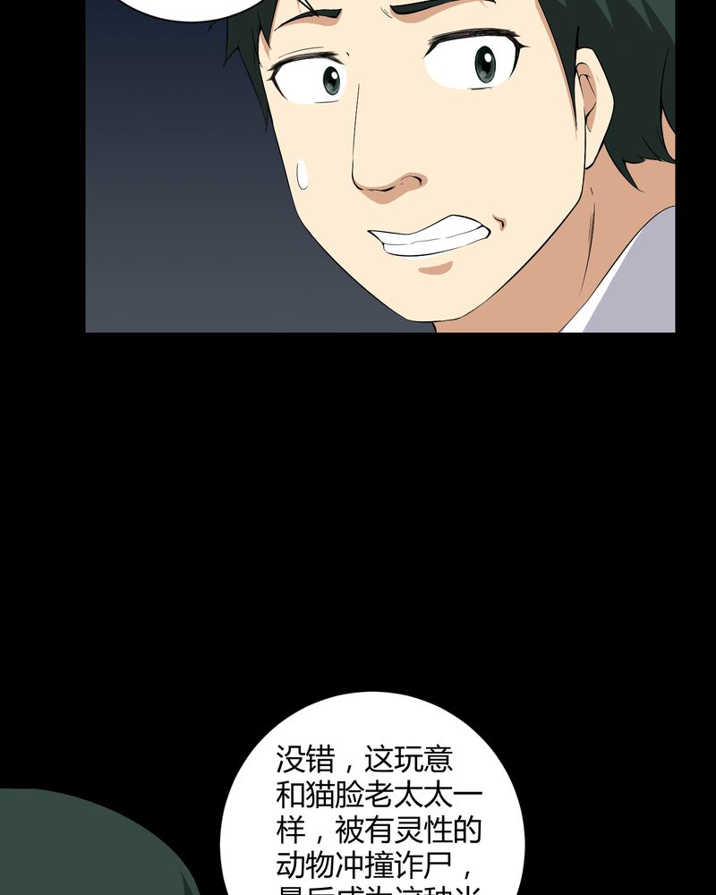 梦魇之旅漫画,第23章：狂蟒之灾1图