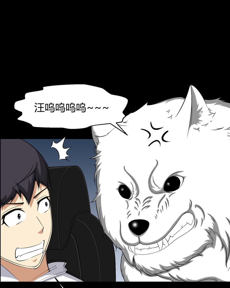 梦魇之旅漫画,第25章：我是你妻子4图