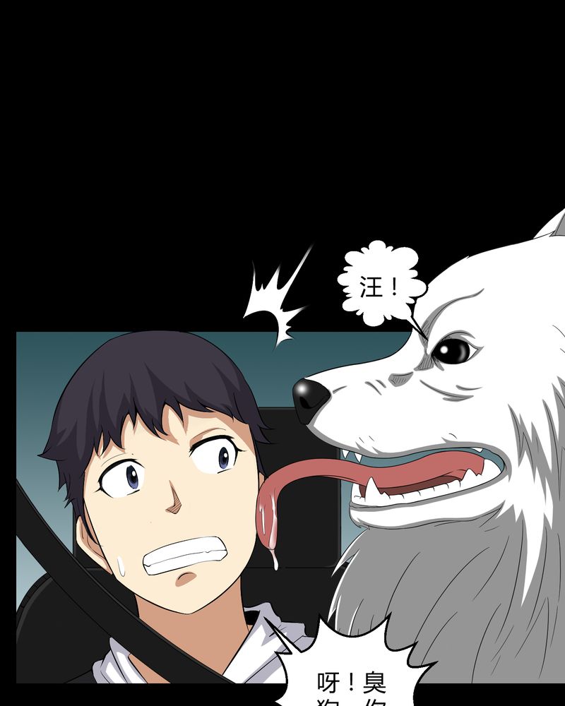 梦魇之旅漫画,第25章：我是你妻子3图