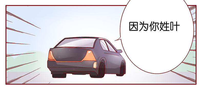 霸道总裁电视剧大全漫画,第90章：因为你姓叶！4图