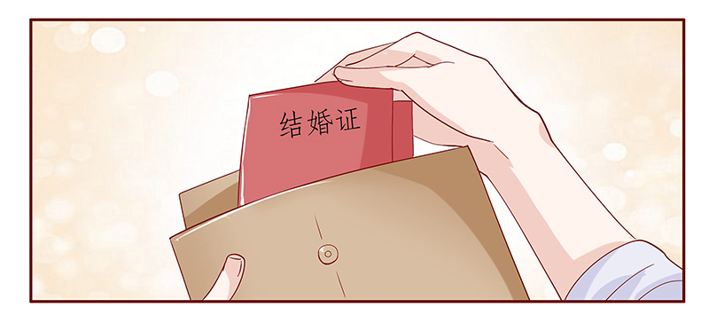 霸道总裁电视剧大全漫画,第87章：结婚的文件1图