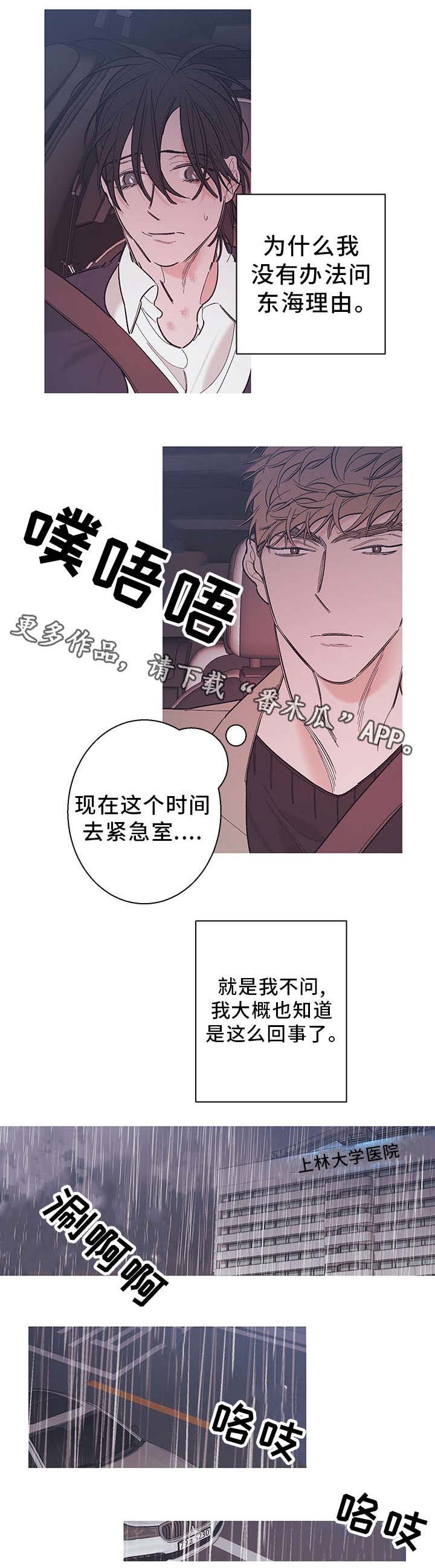 何以是爱漫画,第34章：噩耗5图