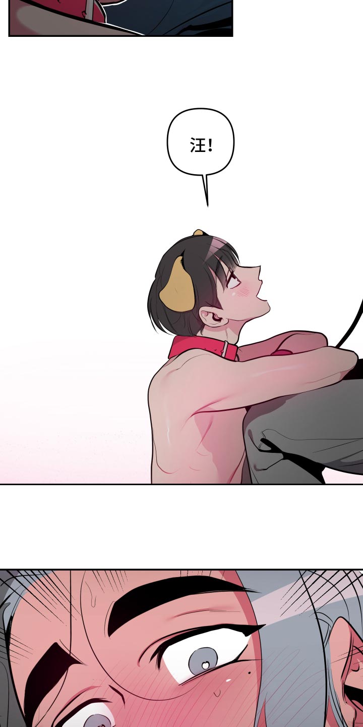 密友安医生漫画,第44章：【第二季】真可惜1图