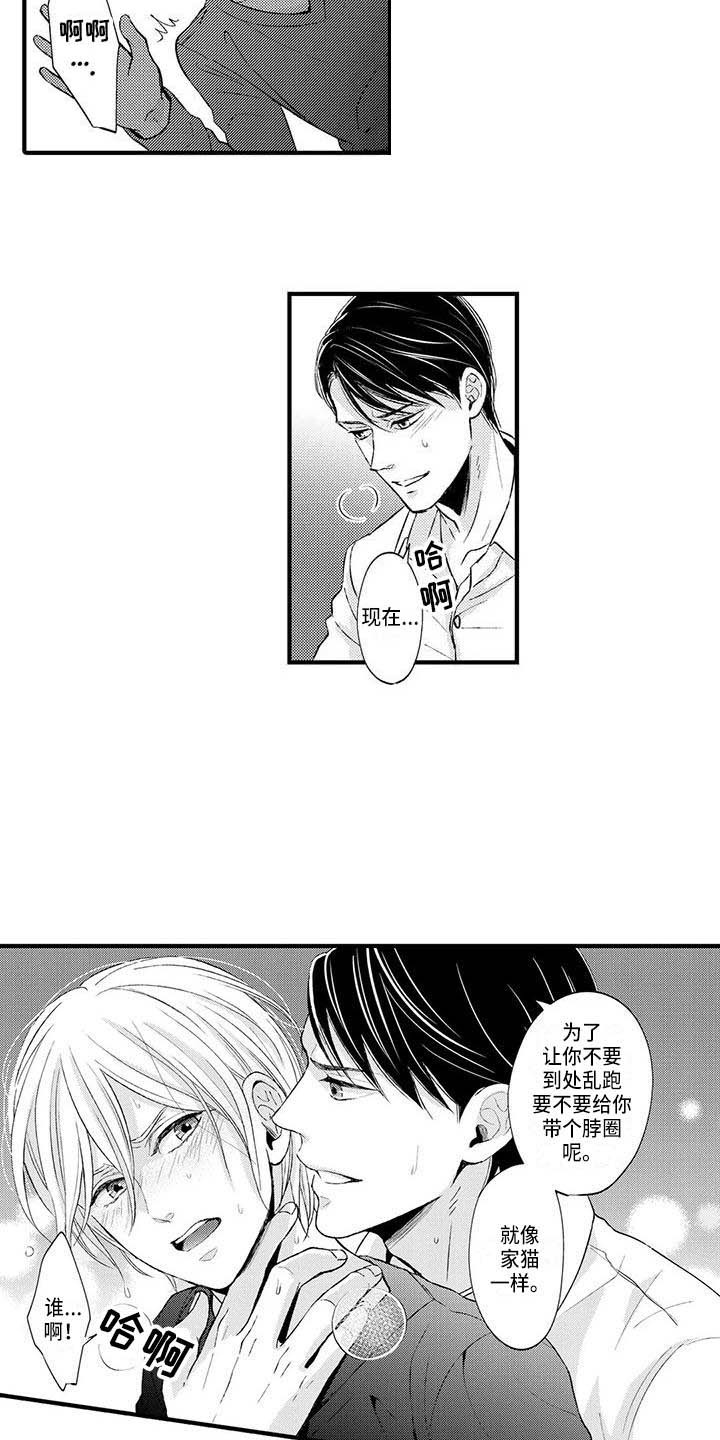 小猫分心啦漫画,第10章：没法思考1图