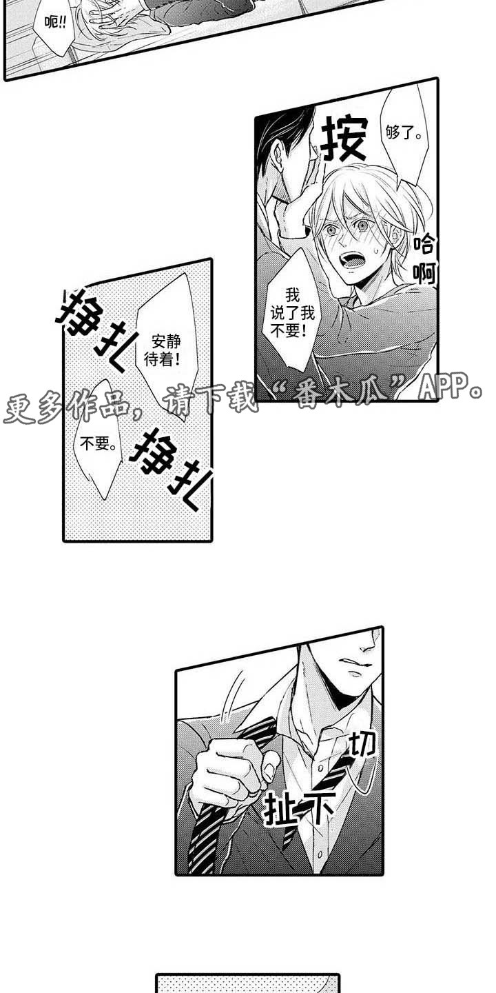 小猫分心啦漫画,第20章：无处可去4图