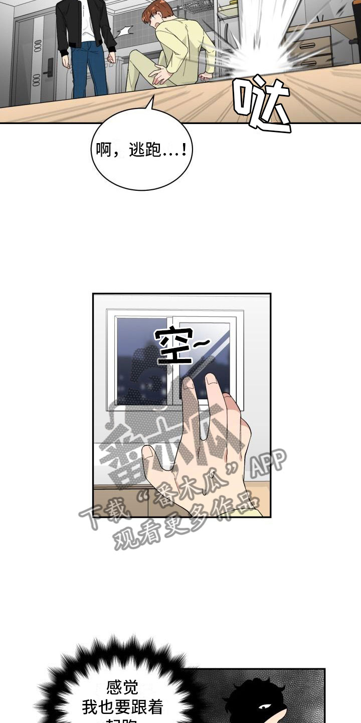 魔力宝贝漫画,第36章：抓包5图