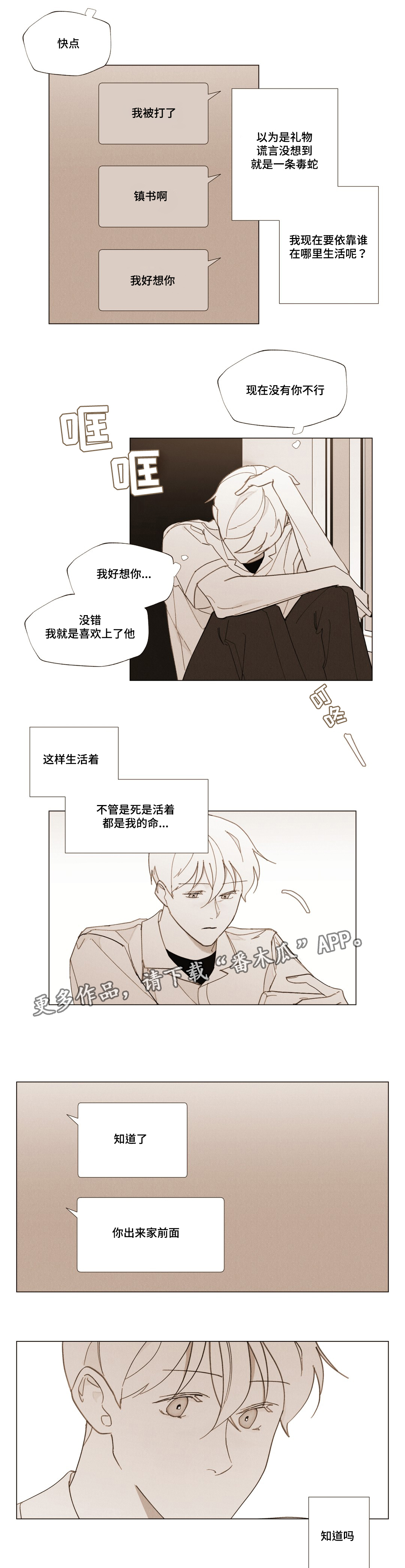真诚的世界漫画,第26章：浪漫的颜色4图