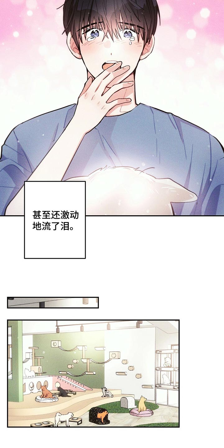 雷云暴雨漫画,第96章：白色的小狗2图