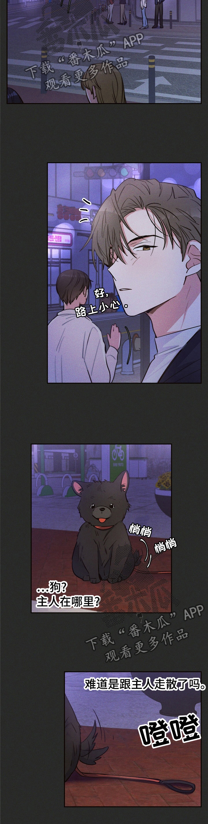 雷云暴雨最新漫画,第31章：问题的那天4图