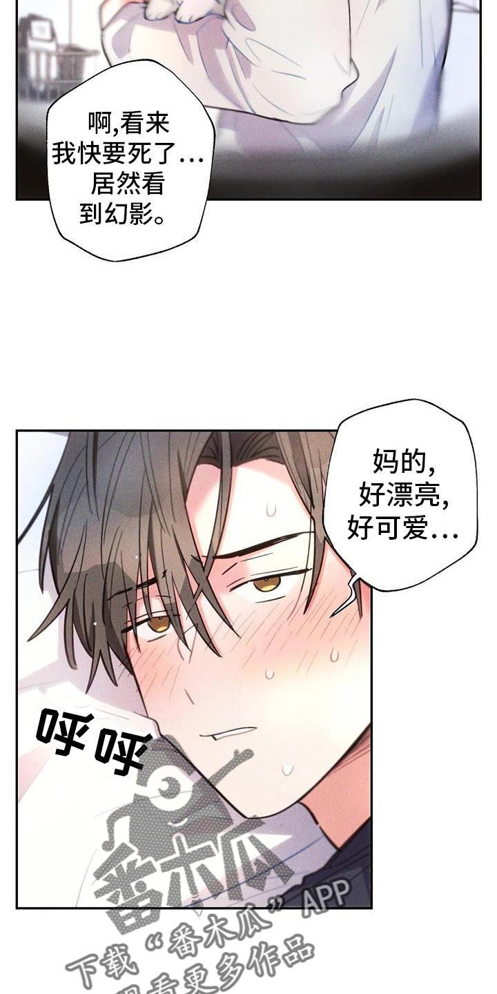 云暴雨漫画,第133章：幻觉5图