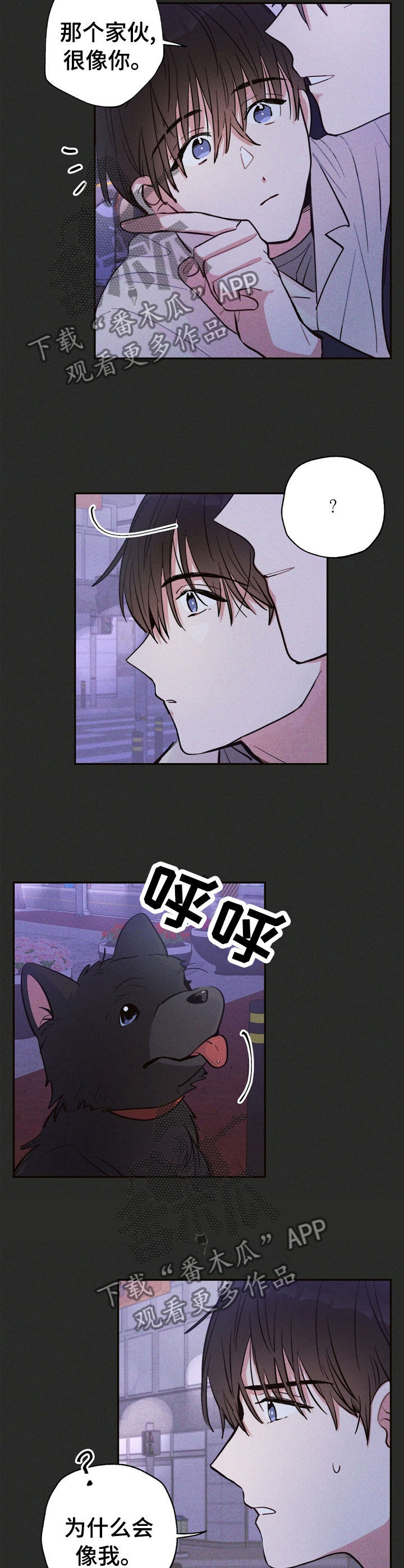 雷云暴雨最新漫画,第31章：问题的那天1图