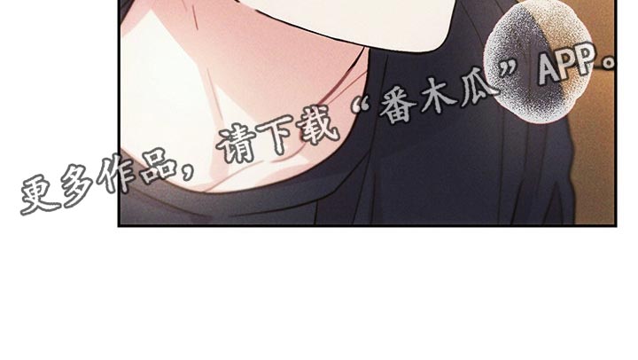 雷云暴雨观看渠道漫画,第96章：白色的小狗5图