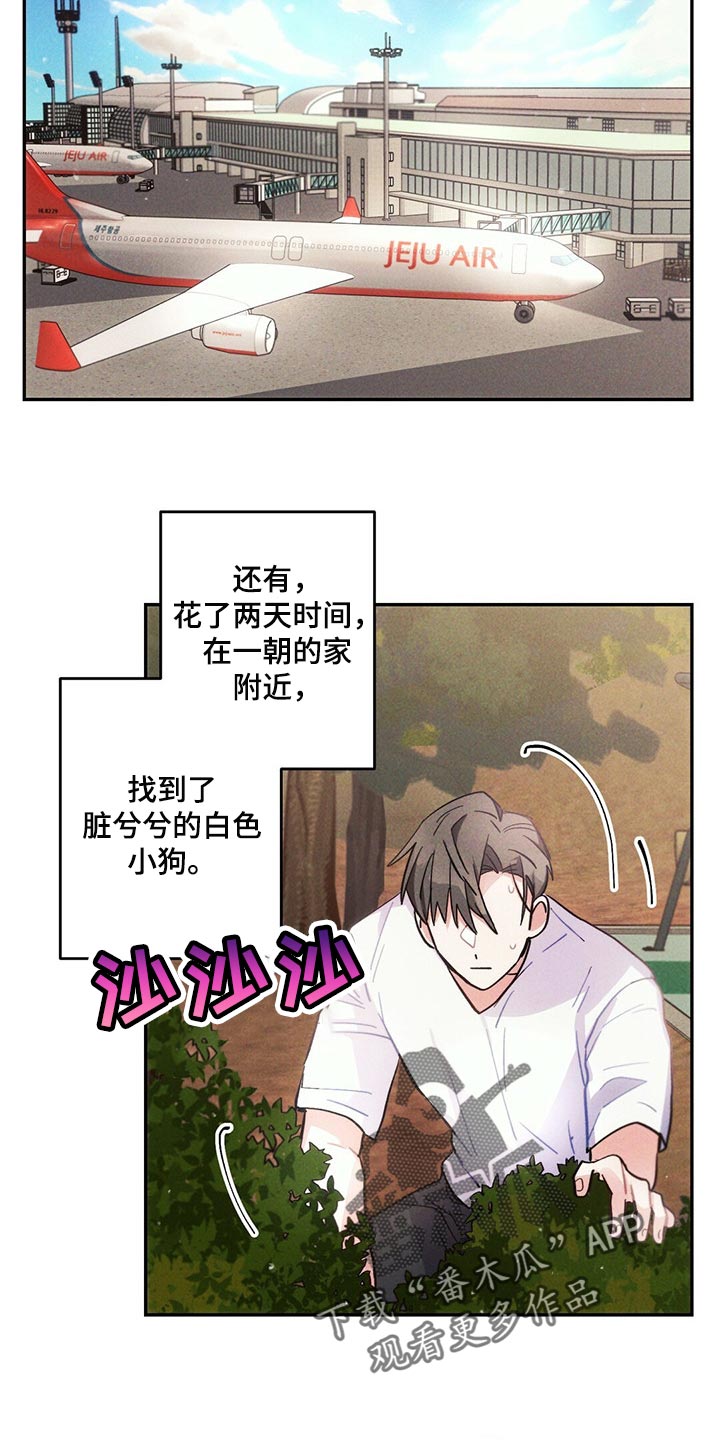 雷云暴雨漫画,第96章：白色的小狗5图