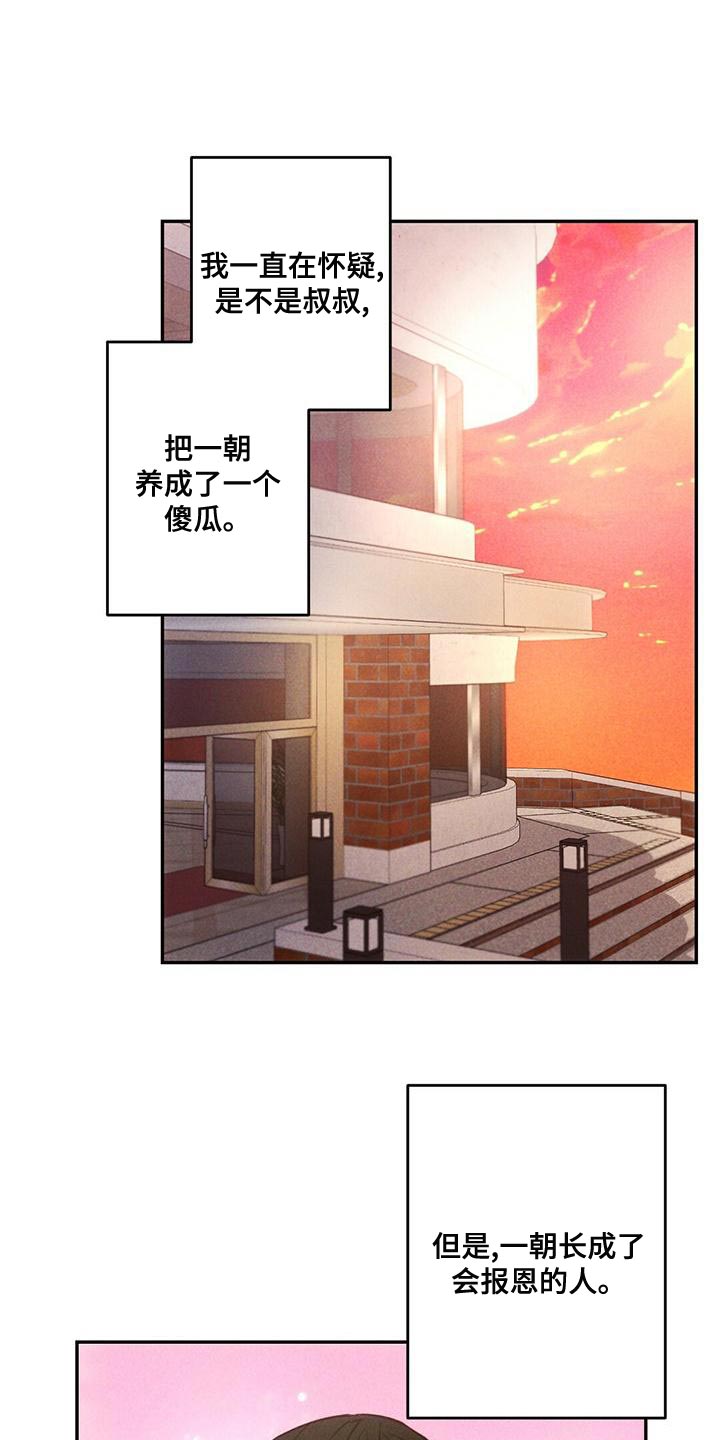 雷云暴雨经典梗漫画,第117章：会报恩的人5图