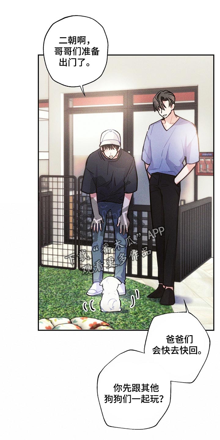 雷云暴雨漫画,第96章：白色的小狗3图