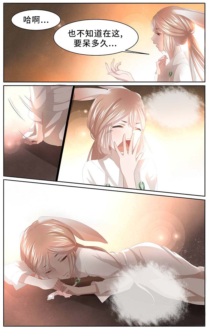 烽途传奇玉兔9套介绍漫画,第3章：1图