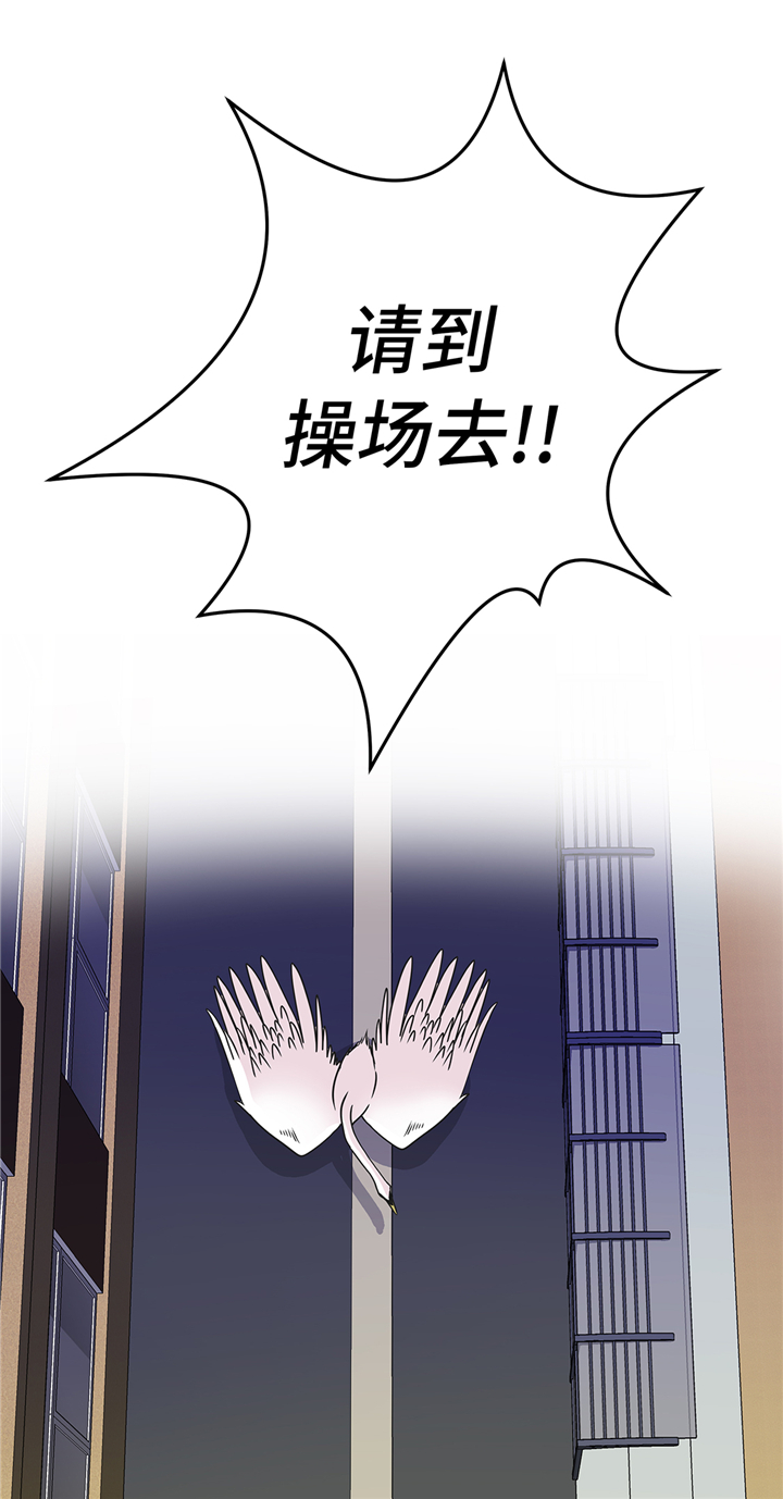 奇妙的动物世界作文600字漫画,第81章：会场袭击3图