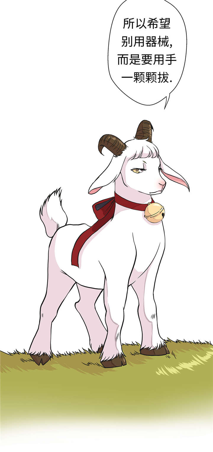 第24章：奇怪的感觉4