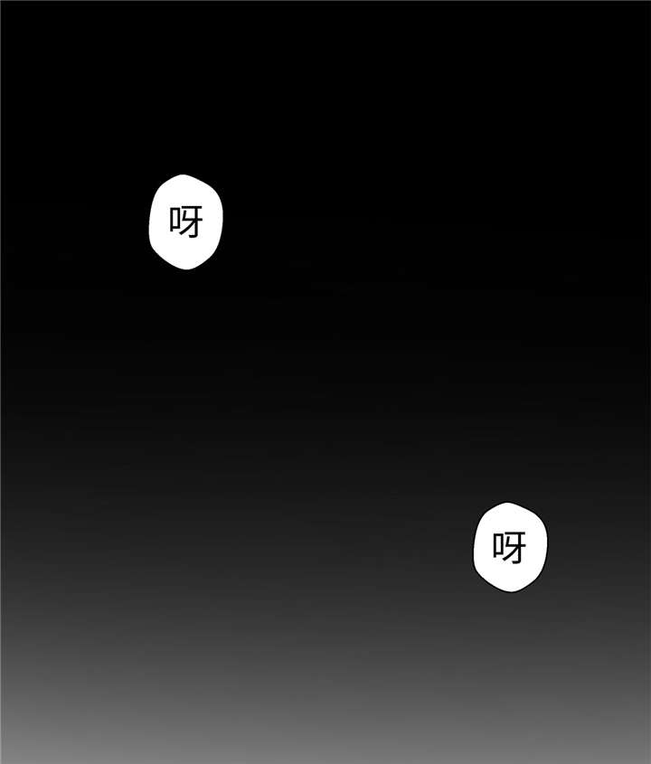 奇妙的动物观评课漫画,第24章：奇怪的感觉4图