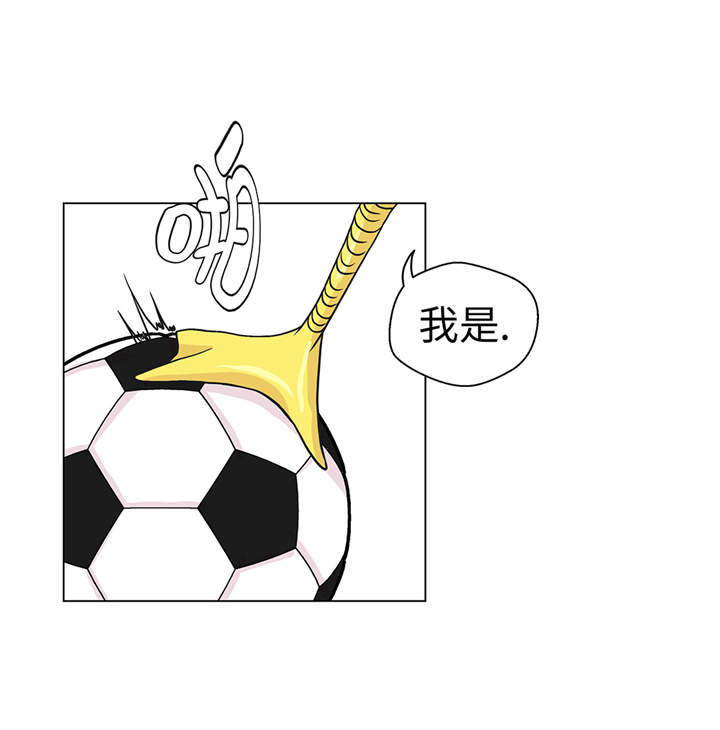 奇妙的动物家庭漫画,第28章：他没有发现4图