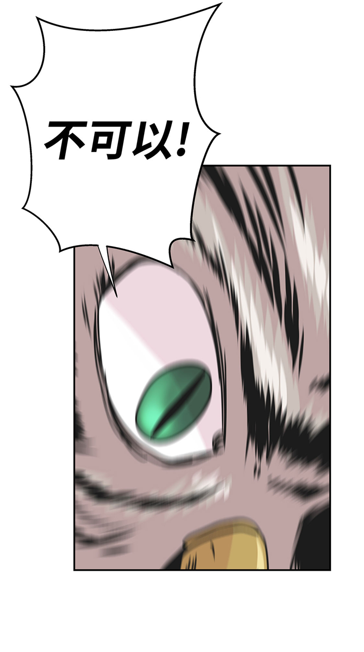 奇妙的动物世界作文600字漫画,第66章：快下来2图