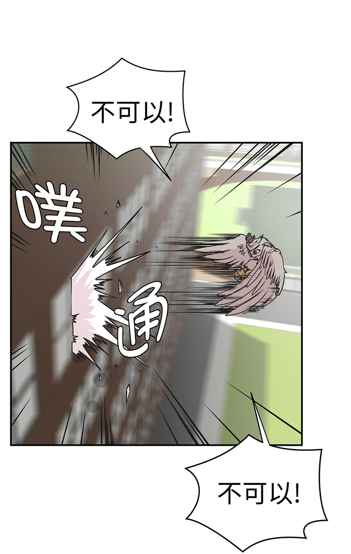奇妙的动物世界作文600字漫画,第66章：快下来1图