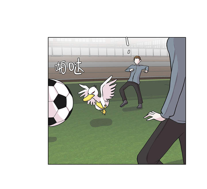 第29章：偷拍狂2