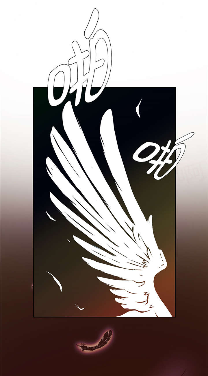 小学课外书奇妙的动物漫画,第13章：惹事猪5图