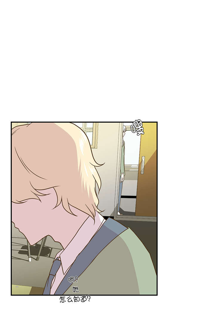 奇妙的动物车儿童画漫画,第11章：看不见的动物(下)2图