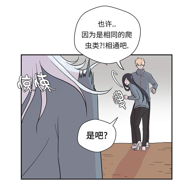 奇妙的动物世界作文600字漫画,第36章：是龙2图
