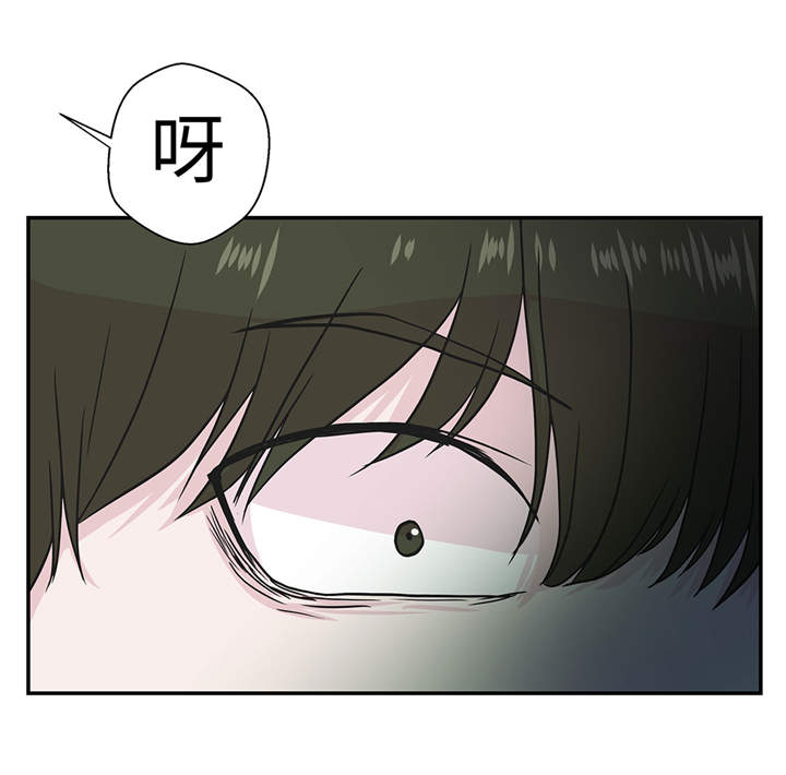 第27章：芭蕾舞演员4