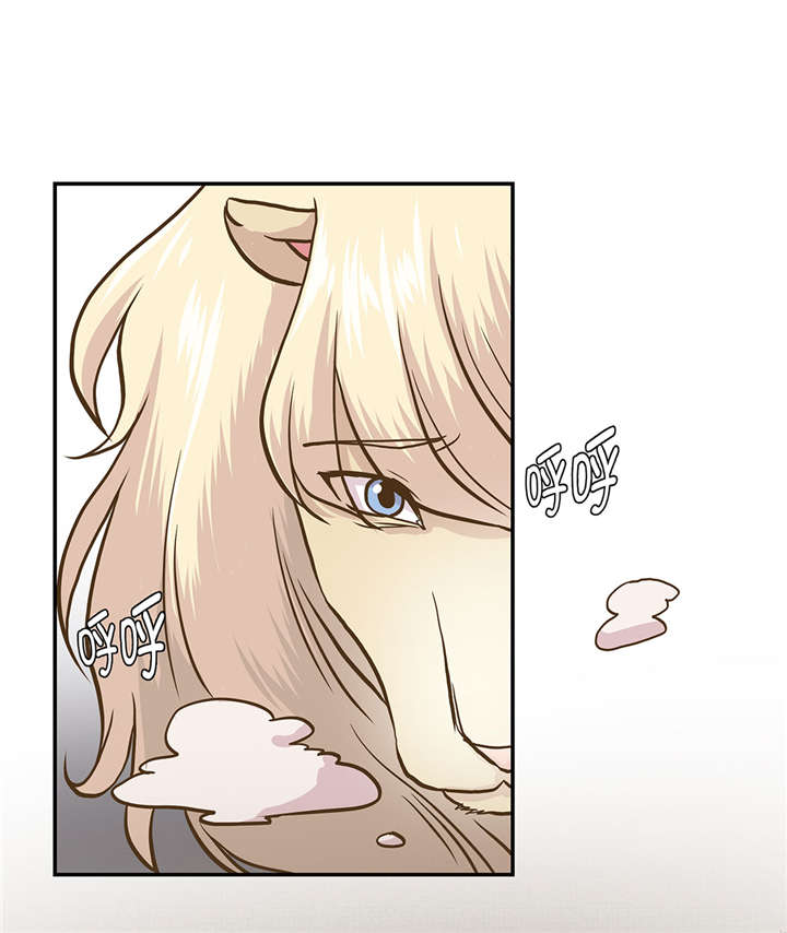 小学课外书奇妙的动物漫画,第15章：什么都做不了4图