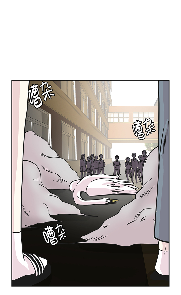 奇妙的动物世界作文600字漫画,第81章：会场袭击4图