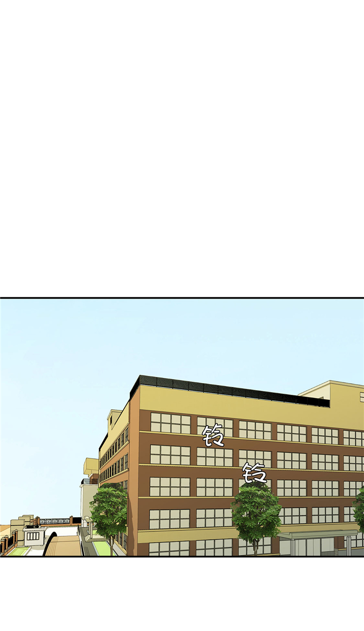 奇妙的动物观评课漫画,第74章：真是搞笑3图