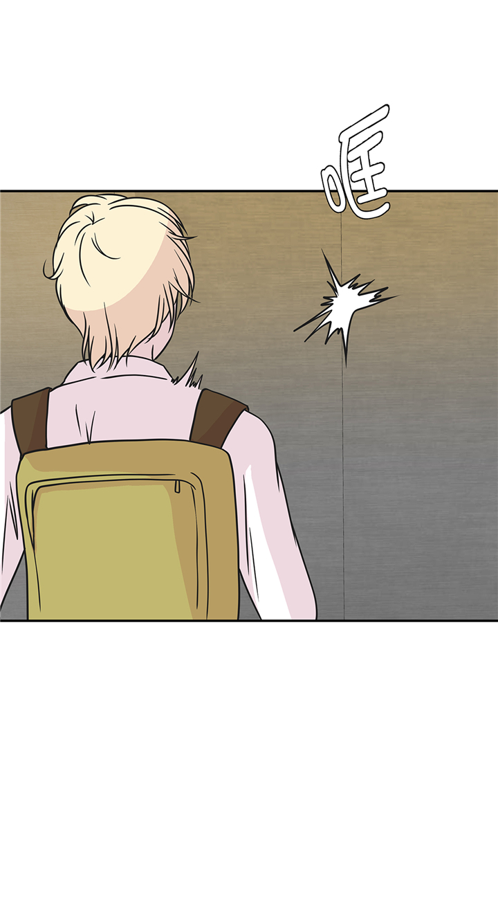 奇妙的动物车儿童画漫画,第77章：庆典前夕3图