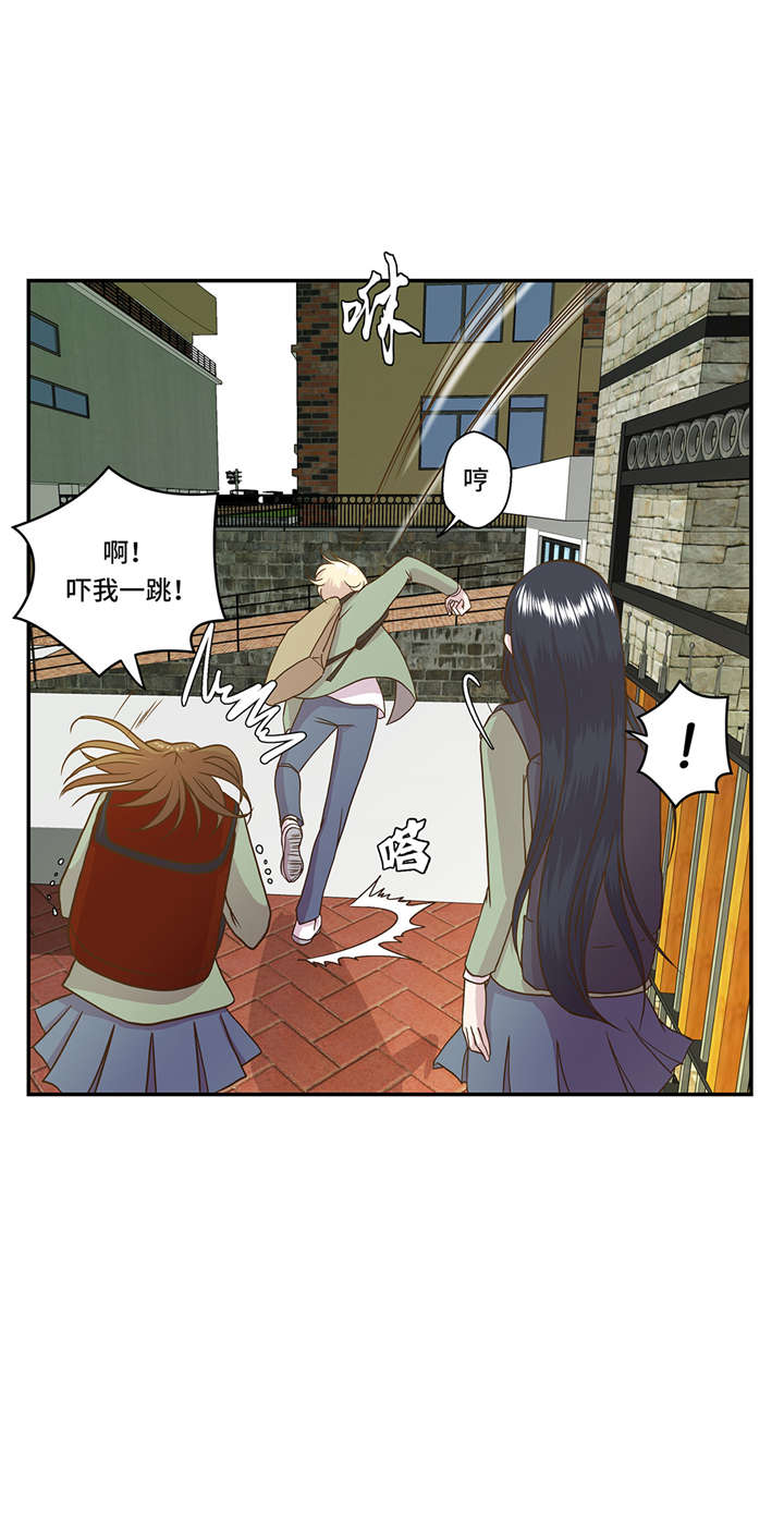 奇妙的动物世界电影漫画,第2章：偶遇（上）5图