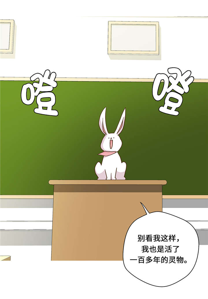 奇妙的动物高中漫画,第8章：展示能力吧(上)5图