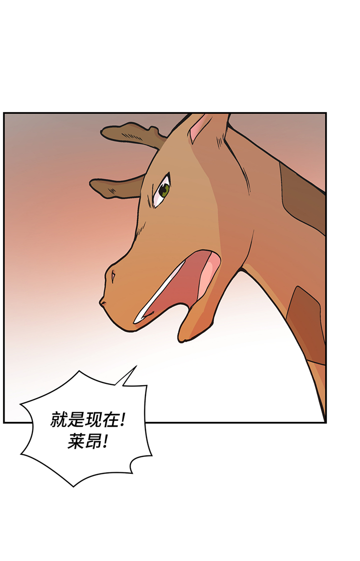 奇妙的动物松鼠漫画,第90章：你这只笨狗！1图