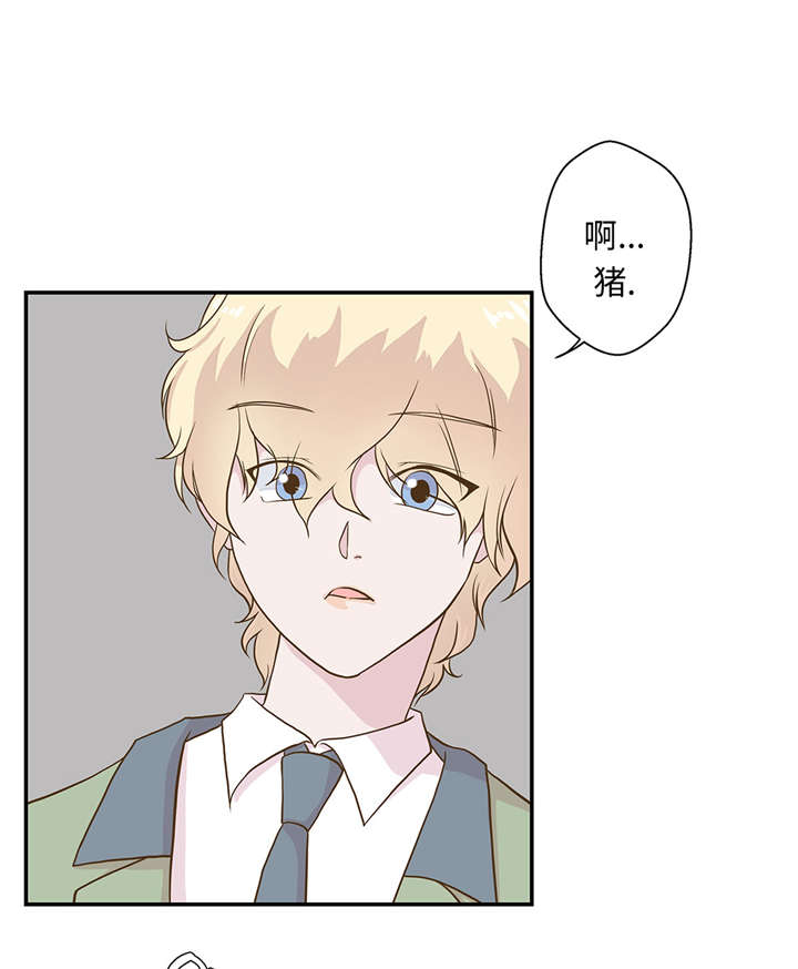 奇妙的动物高中漫画,第18章：开早会1图