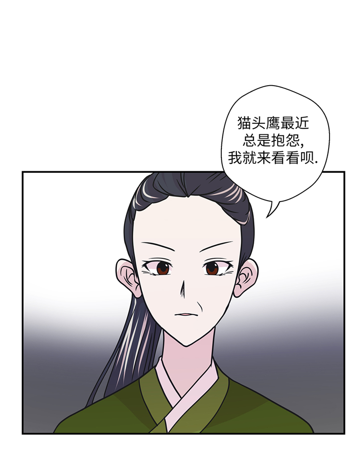 小学课外书奇妙的动物漫画,第77章：庆典前夕1图