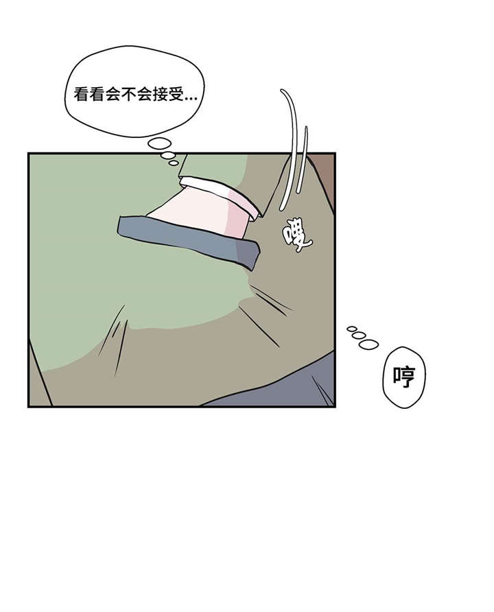 奇妙的动物英语单词漫画,第20章：漂亮的名字1图