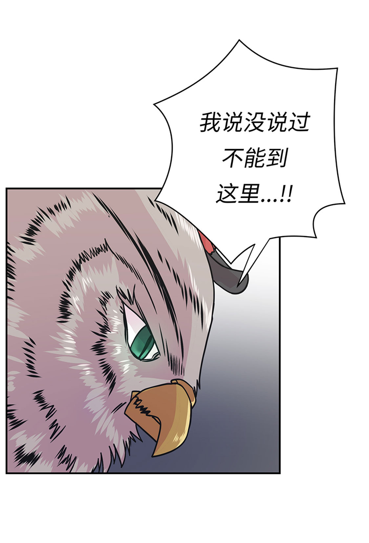奇妙的动物家庭漫画,第67章：摔倒1图