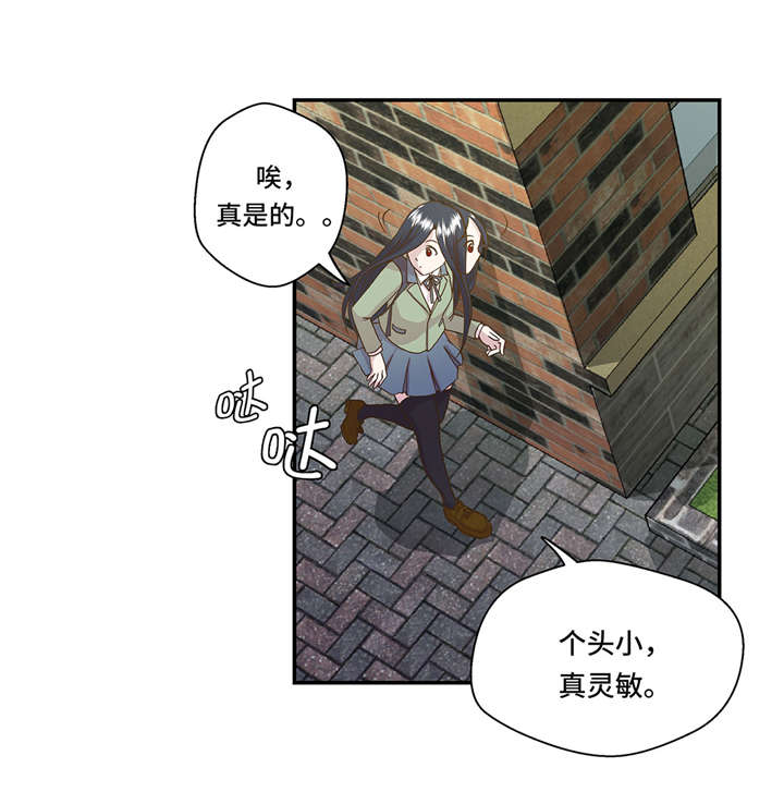 奇妙的动物世界电影漫画,第2章：偶遇（上）5图