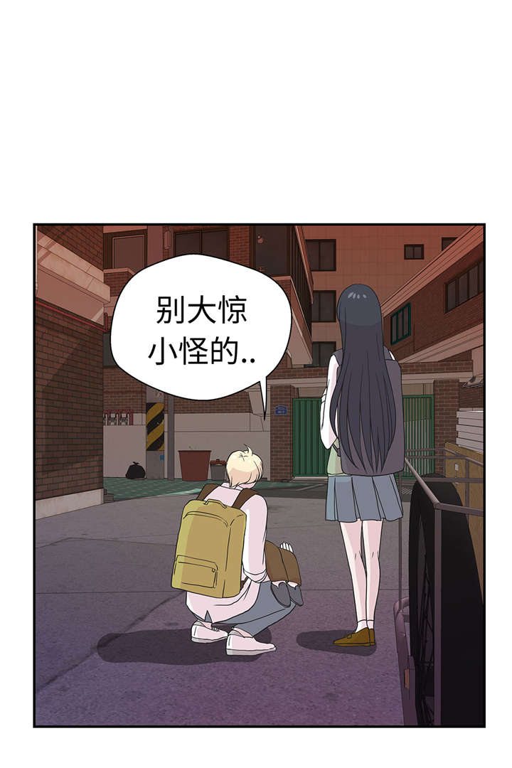 奇妙的动物车儿童画漫画,第52章： 被杀之前1图