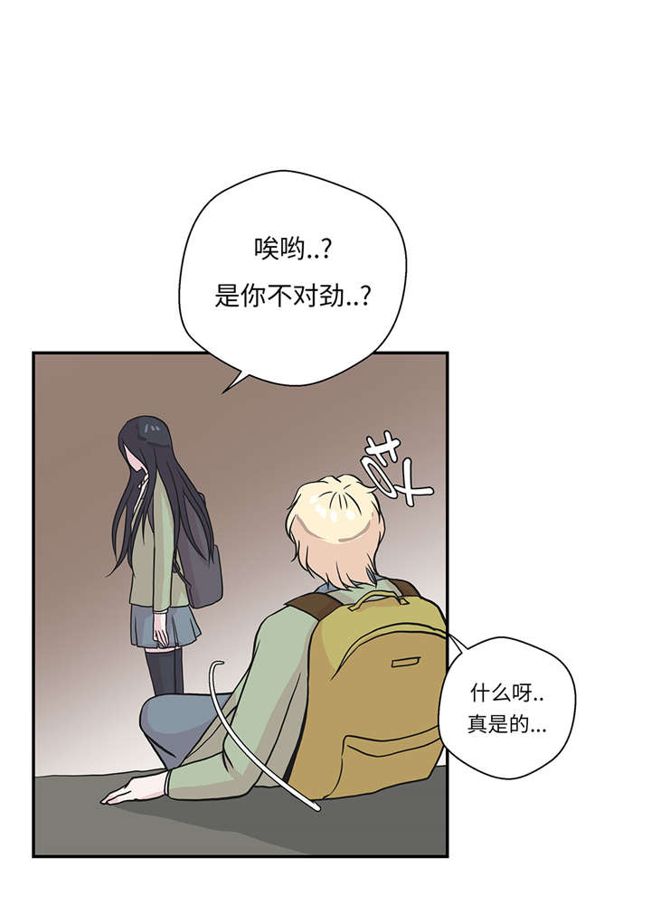 奇妙的动物观评课漫画,第21章：有人跟踪4图