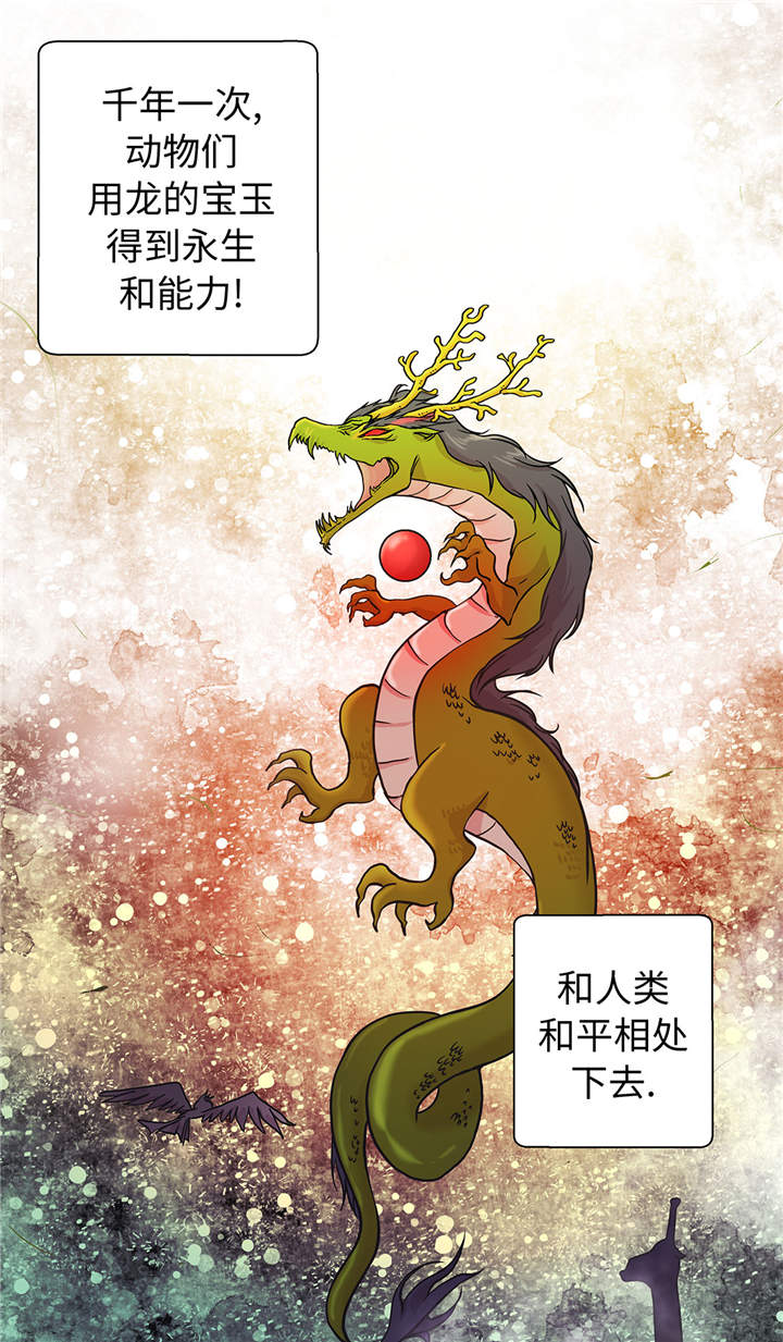 奇妙的动物高中漫画,第49章：传说中的龙5图
